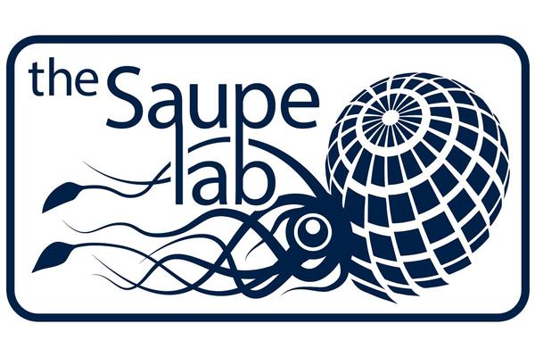 saupe logo blue corners transparency 3000px